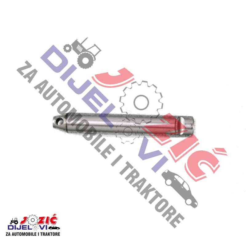 Daisy on the Ohoopee